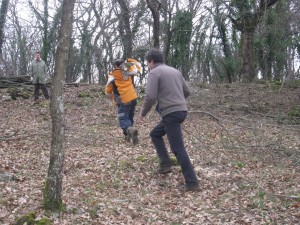 IMG 4065